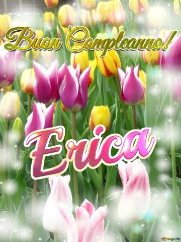Buon Compleanno! Erica  Questi Tulipani Ti Portano La Bellezza Della Primavera E La Gioia Della...