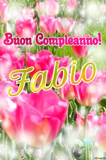 Buon Compleanno! Fabio  La Bellezza Dei Tulipani è Un Richiamo Alla Speranza, Auguri Per Una Vita...
