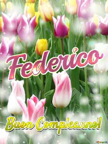 Buon Compleanno! Federico  Che Questi Tulipani Ti Portino La Pace E L`armonia Nella Tua Vita...