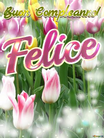 Buon Compleanno! Felice  Che Questi Tulipani Ti Portino La Pace E La Tranquillità Che Stai...