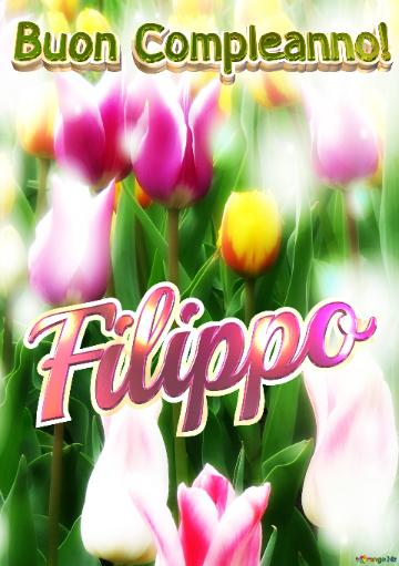 Buon Compleanno! Filippo  Buona Primavera, Che Questi Tulipani Ti Portino La Freschezza E La...