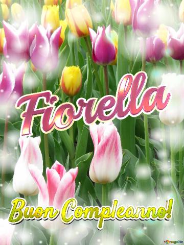Buon Compleanno! Fiorella 