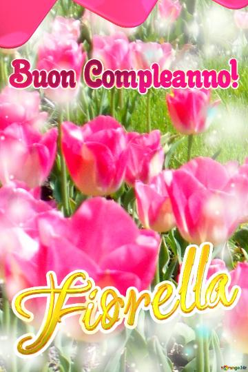 Buon Compleanno! Fiorella   Questi Tulipani Ti Portano La Sincerità E La Verità Nel Tuo Cuore,...