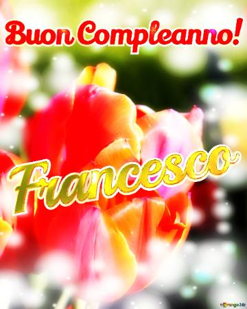 Buon Compleanno! Francesco  Buona Primavera, Che Questi Tulipani Ti Portino La Freschezza E La...