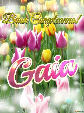 Buon Compleanno! Gaia  Questi Tulipani Ti Portano La Bellezza Della Primavera E La Gioia Della...