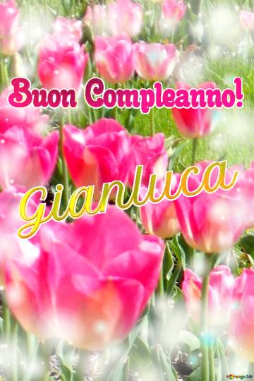Buon Compleanno! Gianluca  La Bellezza Dei Tulipani è Un Richiamo Alla Speranza, Auguri Per Una...