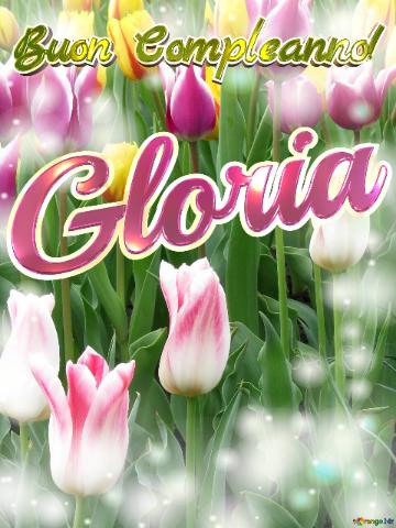 Buon Compleanno! Gloria  Che Questi Tulipani Ti Portino La Pace E La Tranquillità Che Stai...