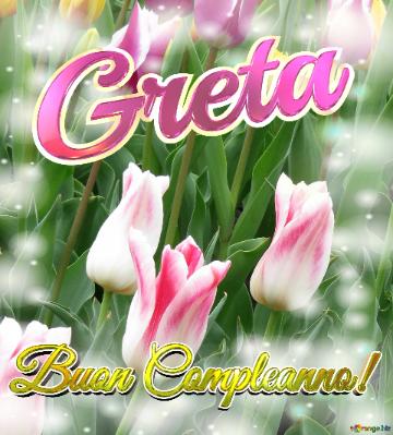 Buon Compleanno! Greta  Il Tulipano è Un Simbolo Di Gratitudine, Auguri Per Una Vita Grata E...