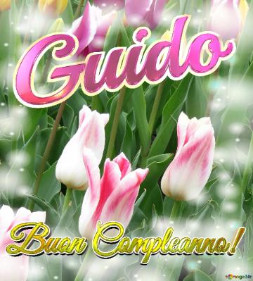 Buon Compleanno! Guido  Il Tulipano è Un Simbolo Di Gratitudine, Auguri Per Una Vita Grata E...
