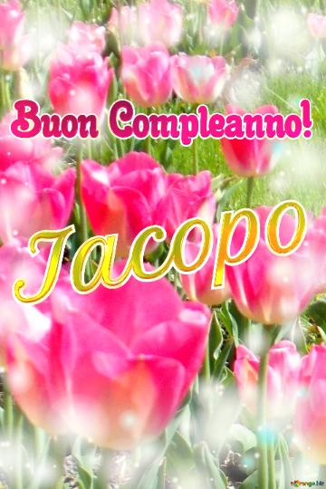 Buon Compleanno! Iacopo  La Bellezza Dei Tulipani è Un Richiamo Alla Speranza, Auguri Per Una Vita ...