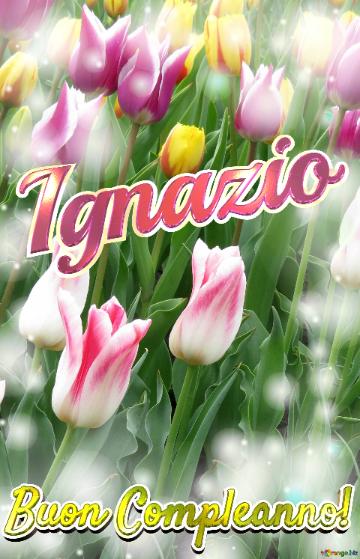 Buon Compleanno! Ignazio  Questi Tulipani Ti Portano La Speranza Per Il Futuro E La Felicità Per...