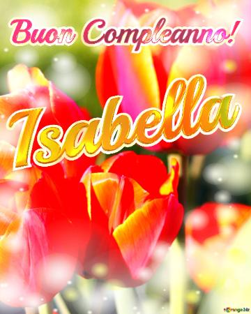 Buon Compleanno! Isabella  La Bellezza Dei Tulipani è Un Richiamo Alla Bellezza Della Vita, Auguri ...