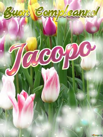 Buon Compleanno! Jacopo 