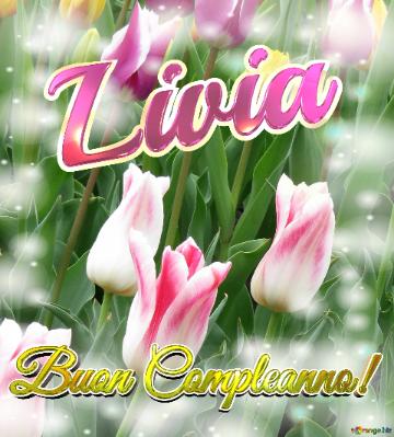 Buon Compleanno! Livia  Il Tulipano è Un Simbolo Di Gratitudine, Auguri Per Una Vita Grata E...
