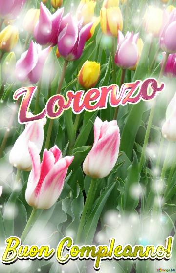 Buon Compleanno! Lorenzo  Questi Tulipani Ti Portano La Speranza Per Il Futuro E La Felicità Per...