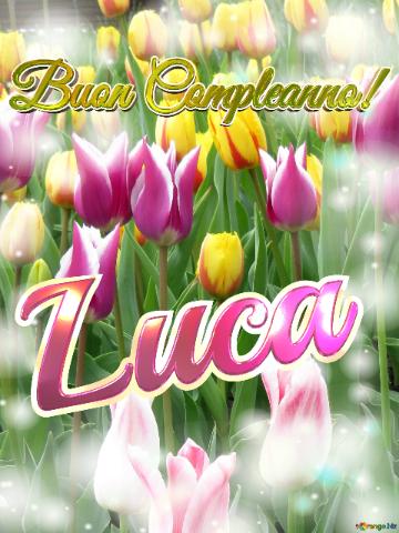 Buon Compleanno! Luca  Questi Tulipani Ti Portano La Bellezza Della Primavera E La Gioia Della...