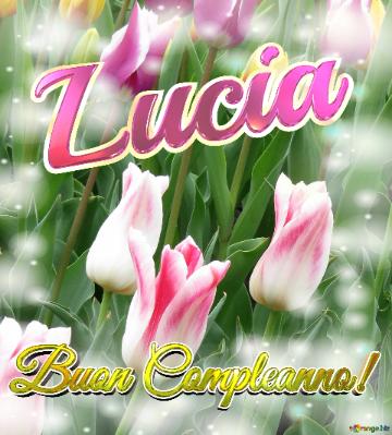 Buon Compleanno! Lucia  Il Tulipano è Un Simbolo Di Gratitudine, Auguri Per Una Vita Grata E...