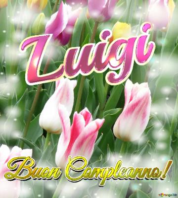 Buon Compleanno! Luigi  Il Tulipano è Un Simbolo Di Gratitudine, Auguri Per Una Vita Grata E...