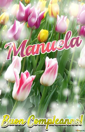 Buon Compleanno! Manuela  Questi Tulipani Ti Portano La Speranza Per Il Futuro E La Felicità Per...