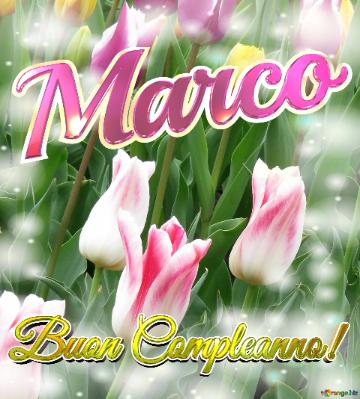 Buon Compleanno! Marco  Il Tulipano è Un Simbolo Di Gratitudine, Auguri Per Una Vita Grata E...