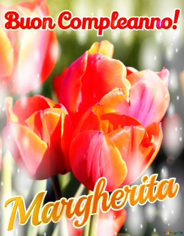 Buon Compleanno! Margherita  Questi Tulipani Ti Portano La Bellezza Della Natura E La Bellezza...