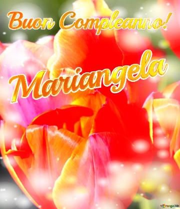 Buon Compleanno! Mariangela 