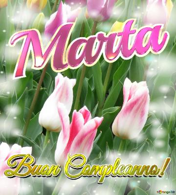 Buon Compleanno! Marta  Il Tulipano è Un Simbolo Di Gratitudine, Auguri Per Una Vita Grata E...