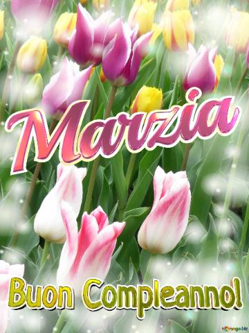 Buon Compleanno! Marzia  La Bellezza Dei Tulipani è Un Richiamo Alla Bellezza Della Vita, Goditi...