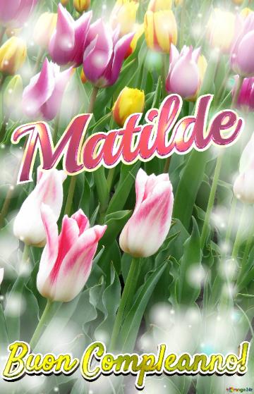 Buon Compleanno! Matilde  Questi Tulipani Ti Portano La Speranza Per Il Futuro E La Felicità Per...