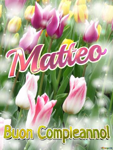 Buon Compleanno! Matteo  La Bellezza Dei Tulipani è Un Richiamo Alla Bellezza Della Vita, Goditi...