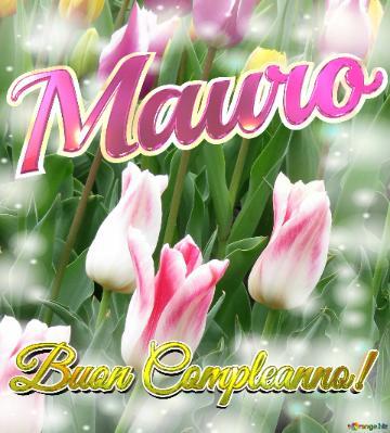 Buon Compleanno! Mauro  Il Tulipano è Un Simbolo Di Gratitudine, Auguri Per Una Vita Grata E...