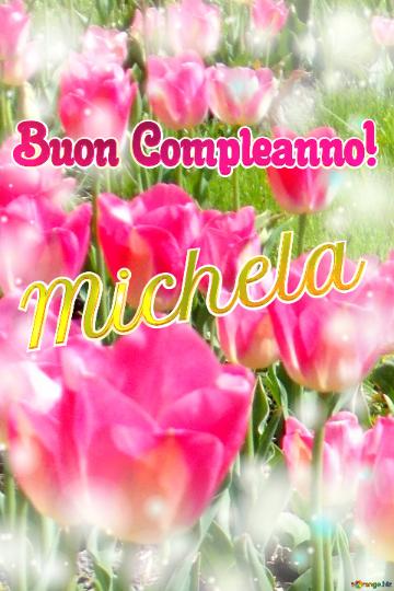 Buon Compleanno! Michela  La Bellezza Dei Tulipani è Un Richiamo Alla Speranza, Auguri Per Una...