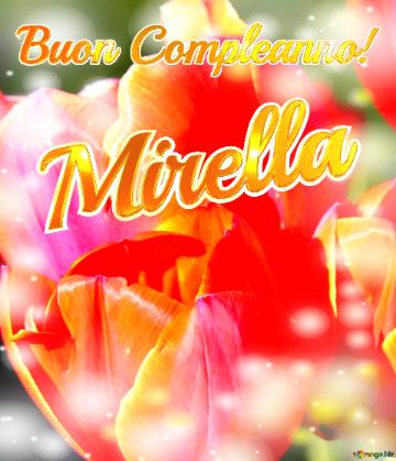 Buon Compleanno! Mirella  Il Tulipano è Un Simbolo Di Devozione, Auguri Per Una Vita Devota E...