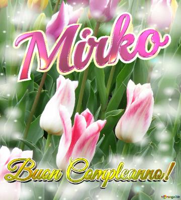 Buon Compleanno! Mirko  Il Tulipano è Un Simbolo Di Gratitudine, Auguri Per Una Vita Grata E...