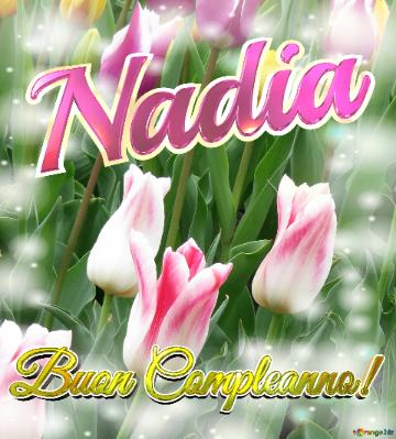 Buon Compleanno! Nadia  Il Tulipano è Un Simbolo Di Gratitudine, Auguri Per Una Vita Grata E...