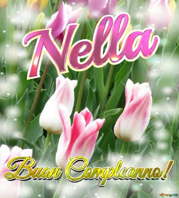 Buon Compleanno! Nella  Il Tulipano è Un Simbolo Di Gratitudine, Auguri Per Una Vita Grata E...