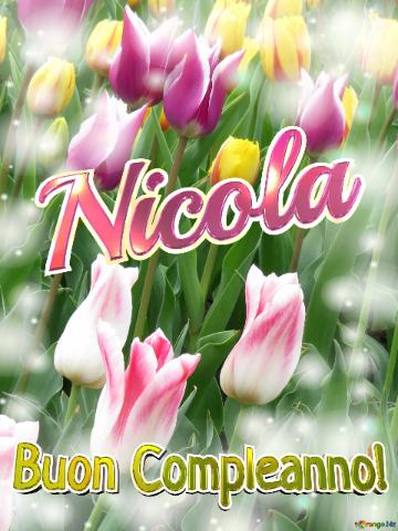 Buon Compleanno! Nicola  La Bellezza Dei Tulipani è Un Richiamo Alla Bellezza Della Vita, Goditi...