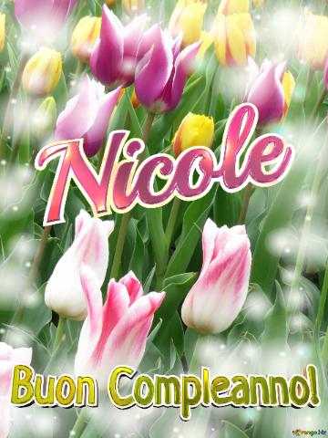 Buon Compleanno! Nicole  La Bellezza Dei Tulipani è Un Richiamo Alla Bellezza Della Vita, Goditi...