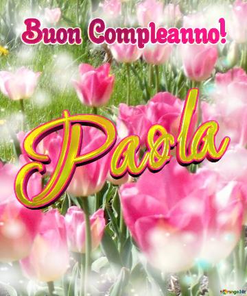 Buon Compleanno! Paola  Che Questi Tulipani Ti Portino La Gioia E La Felicità Che Hai Sempre...