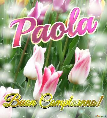 Buon Compleanno! Paola  Il Tulipano è Un Simbolo Di Gratitudine, Auguri Per Una Vita Grata E...