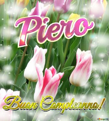Buon Compleanno! Piero  Il Tulipano è Un Simbolo Di Gratitudine, Auguri Per Una Vita Grata E...