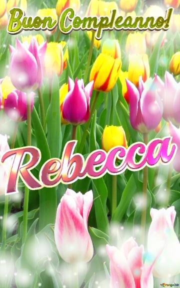 Buon Compleanno! Rebecca  Il Tulipano è Un Simbolo Di Lealtà, Auguri Per Una Vita Leale E Fedele.