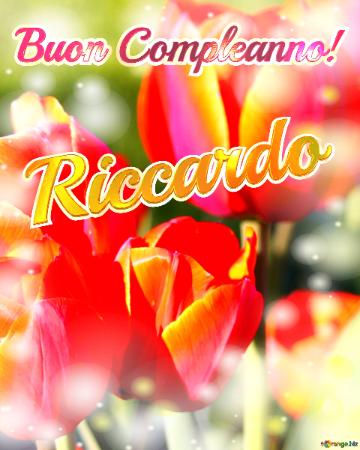 Buon Compleanno! Riccardo  La Bellezza Dei Tulipani è Un Richiamo Alla Bellezza Della Vita, Auguri ...