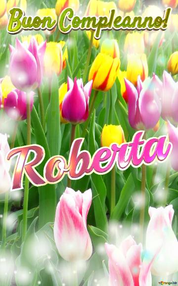 Buon Compleanno! Roberta  Il Tulipano è Un Simbolo Di Lealtà, Auguri Per Una Vita Leale E Fedele.