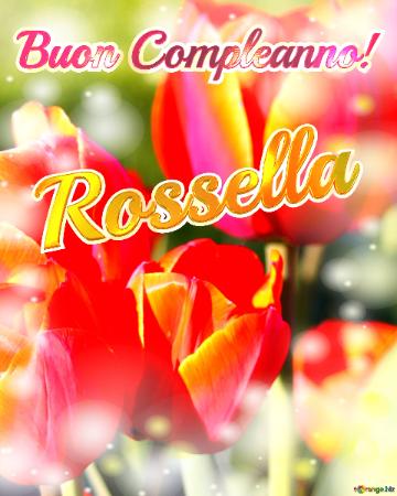 Buon Compleanno! Rossella  La Bellezza Dei Tulipani è Un Richiamo Alla Bellezza Della Vita, Auguri ...
