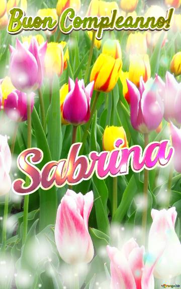 Buon Compleanno! Sabrina  Il Tulipano è Un Simbolo Di Lealtà, Auguri Per Una Vita Leale E Fedele.