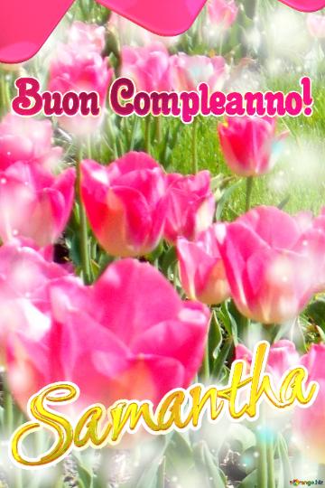 Buon Compleanno! Samantha   Questi Tulipani Ti Portano La Sincerità E La Verità Nel Tuo Cuore,...