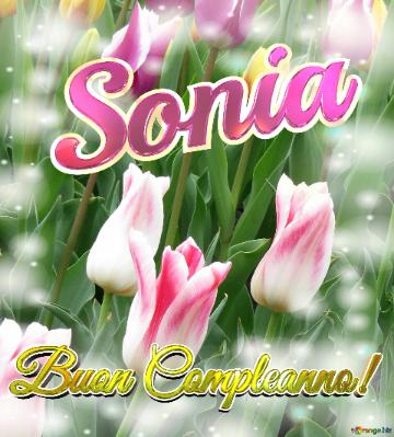 Buon Compleanno! Sonia  Il Tulipano è Un Simbolo Di Gratitudine, Auguri Per Una Vita Grata E...