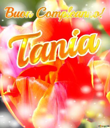 Buon Compleanno! Tania  Il Tulipano è Un Simbolo Di Devozione, Auguri Per Una Vita Devota E Piena...