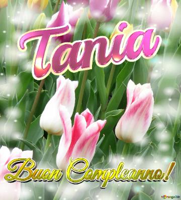 Buon Compleanno! Tania  Il Tulipano è Un Simbolo Di Gratitudine, Auguri Per Una Vita Grata E...